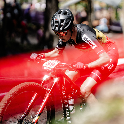 DOMINION T-SERIES Rider Image